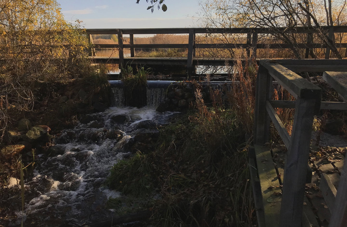 Bron vid Ålsjön naturreservat
