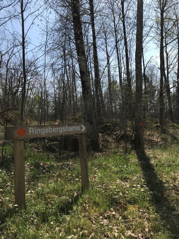 Järnvägsbank Flymossen