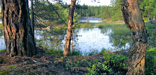 Granby och Hanveden - Natura 2000-områden i Paradiset