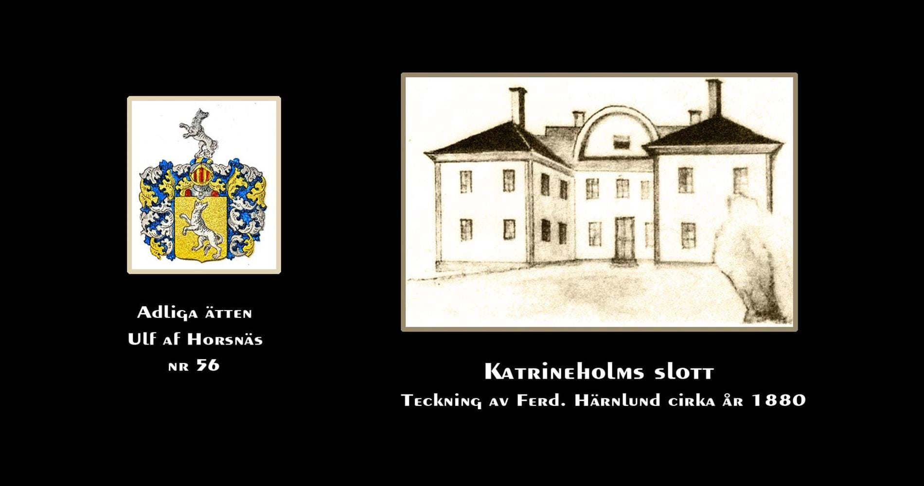 Katrineholms slott (ruin)