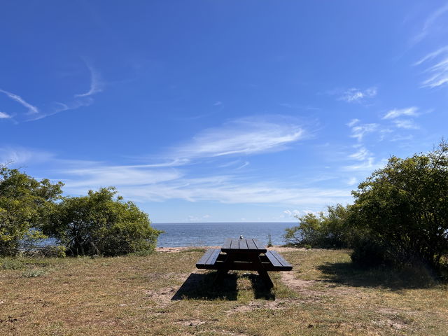 Bord, Trollskogen