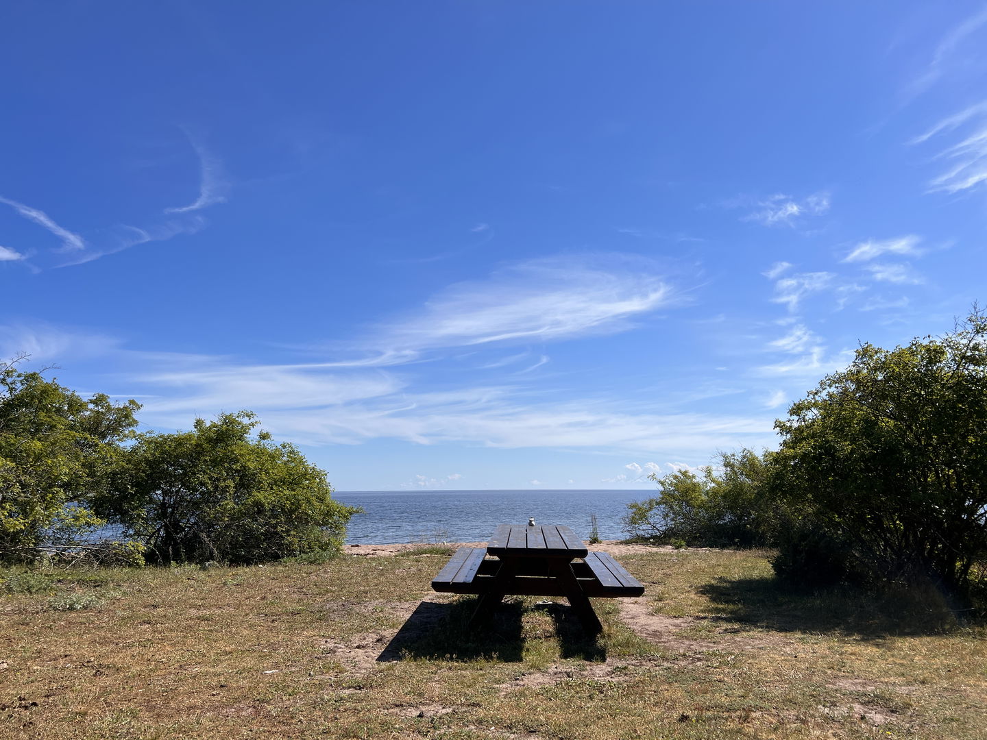 rastbord vid stranden