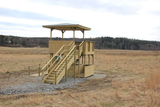 Fågeltornet Kyrksjön