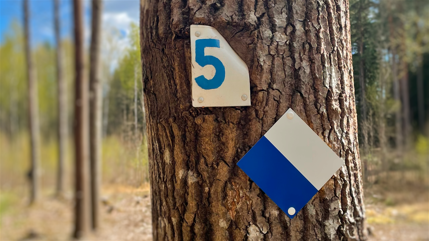 Två skyltar uppsatta på en trädstam. Ena skyltens högra hörn är instucken i trädstammen, skylten är vit och har en blåmålad femma. Den andra skylten är till hälften blå, till hälften vit.