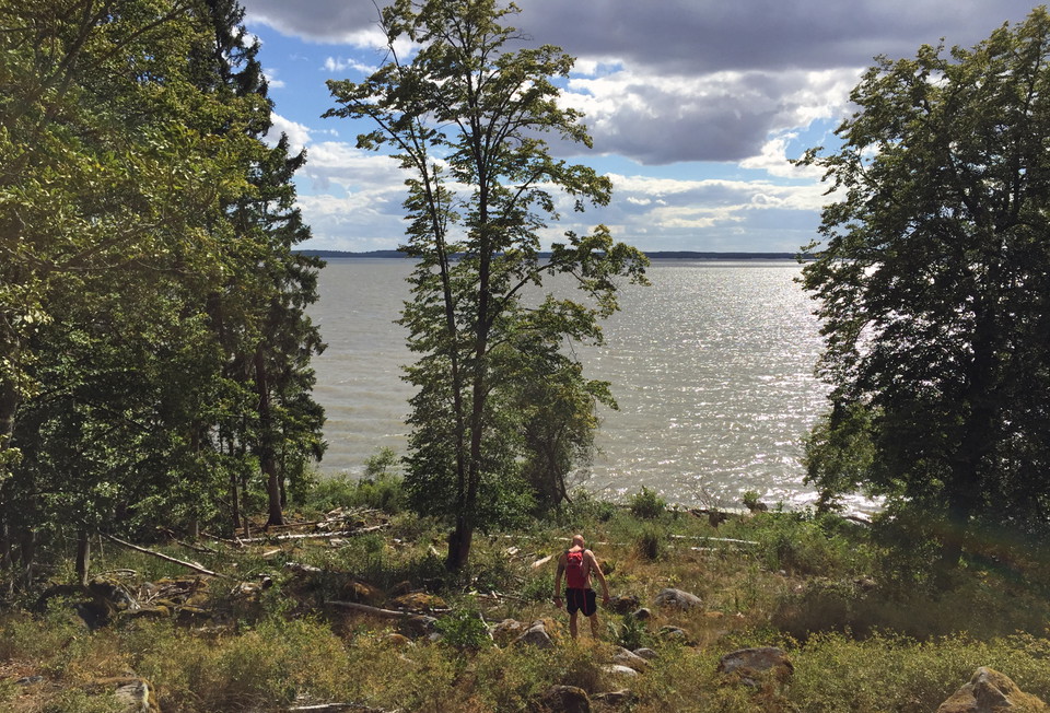 Utsikt ner mot Mälaren från grillplatsen.