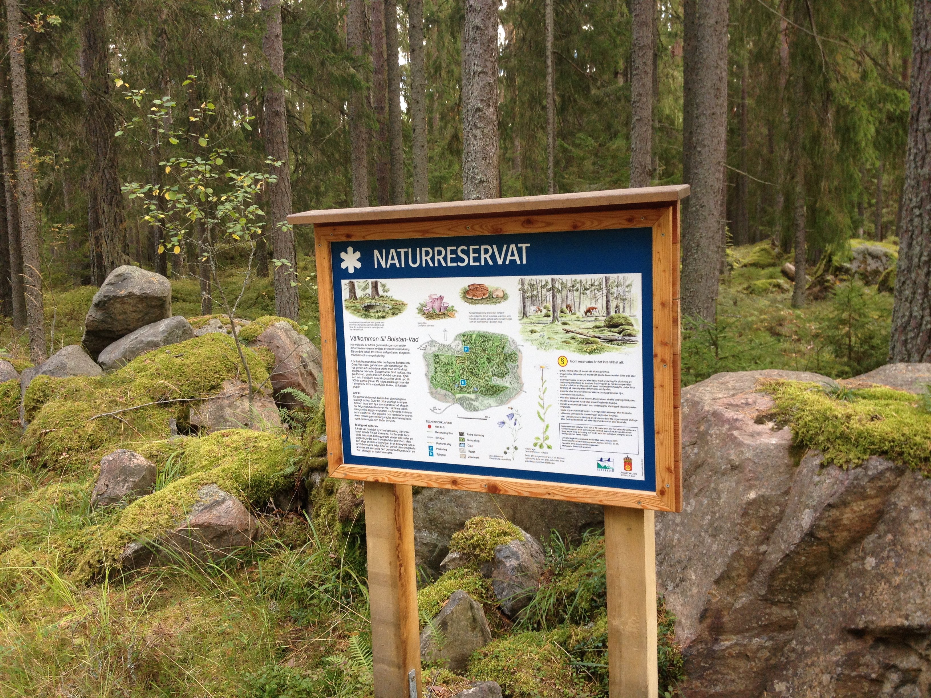 I skogen står en informationstavla framför några större stenblock.