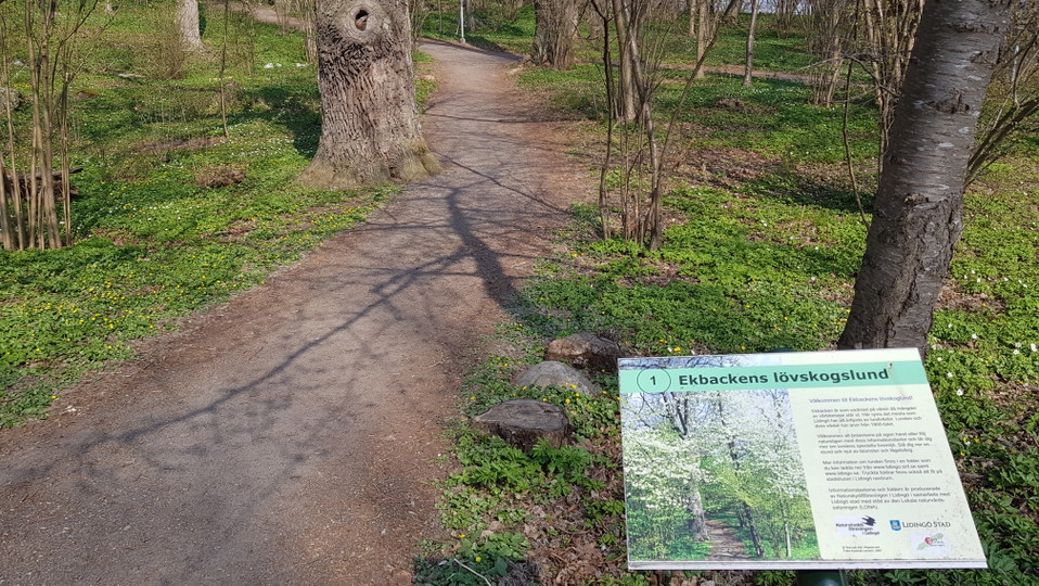 Början på ekbackens naturstig. Foto Lidingö stad