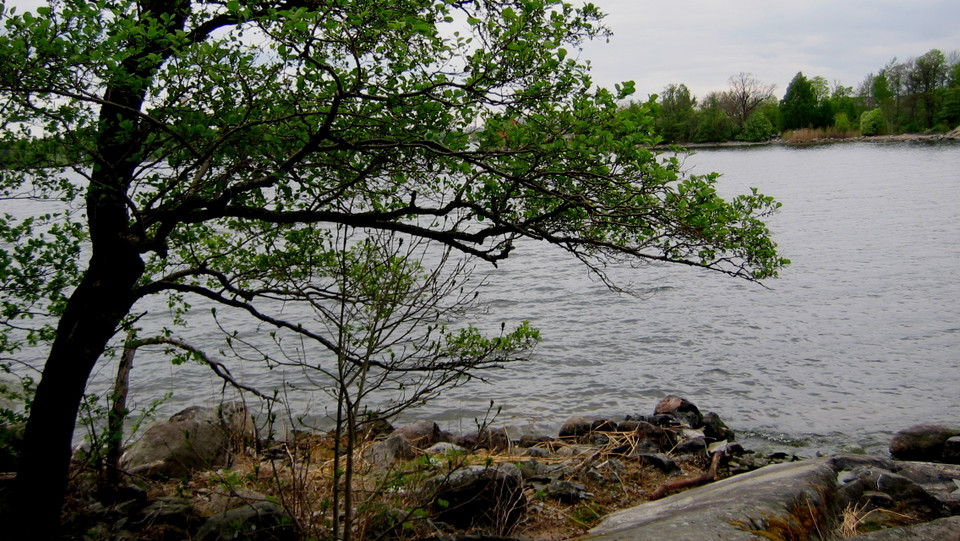 Strand på Stora Fjäderholmen med utsikt mot Ängsholmen. Foto Lidingö stad