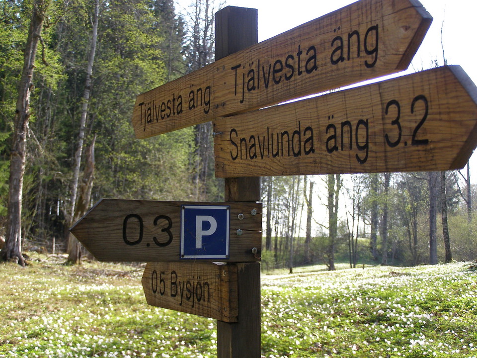 Försommar med blomprakt