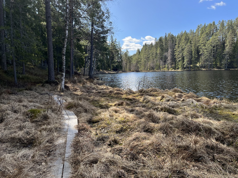 Vy över vindskydd och tjärnen
