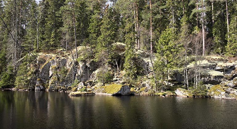 Barmarksled, Fagertärn
