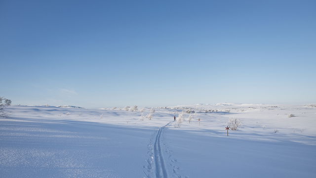 Vinterled/skidspår Storlien Tullen - Rundhögen via Storvallen och Sevedholm