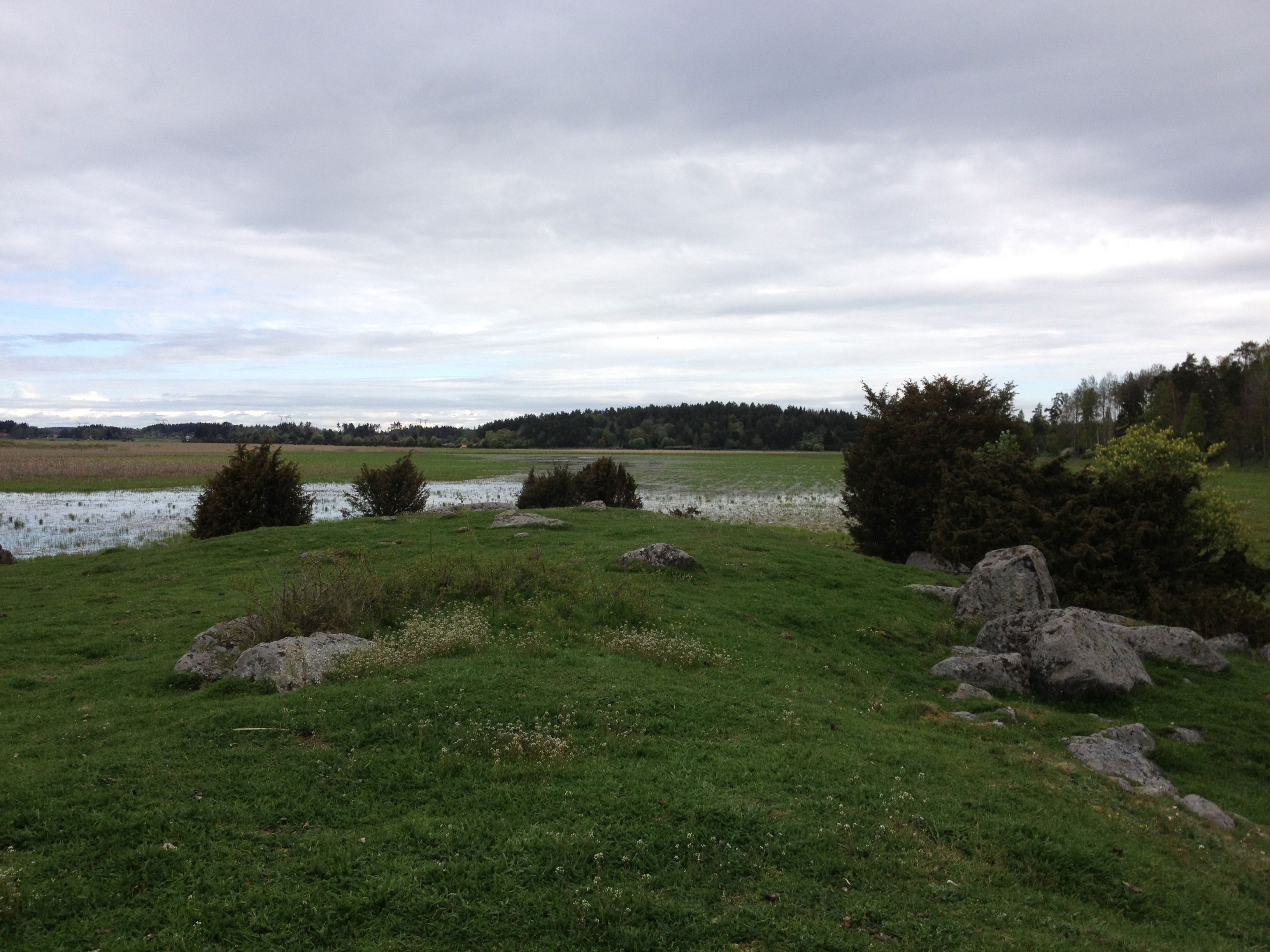 Östra kokullen, Hjälstaviken