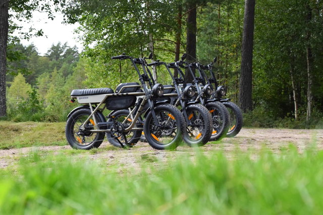 E-bikes Värmland - Fatbikes