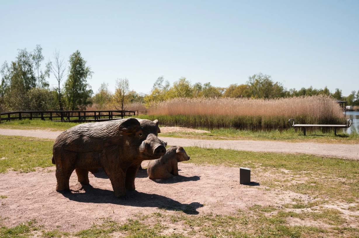 Anslutning KS4/KS5 - Skärgårdsparken 