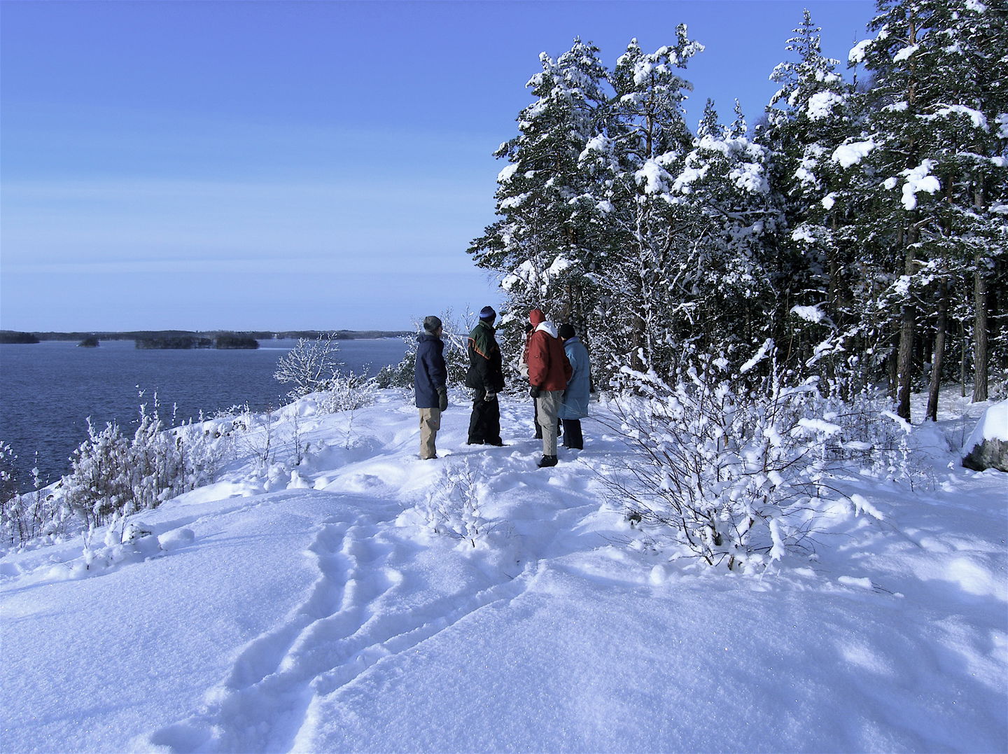 Fyra vuxna står vid en utsiktsplats vid vattnet. Det är vinter och naturen är täckt av snö.