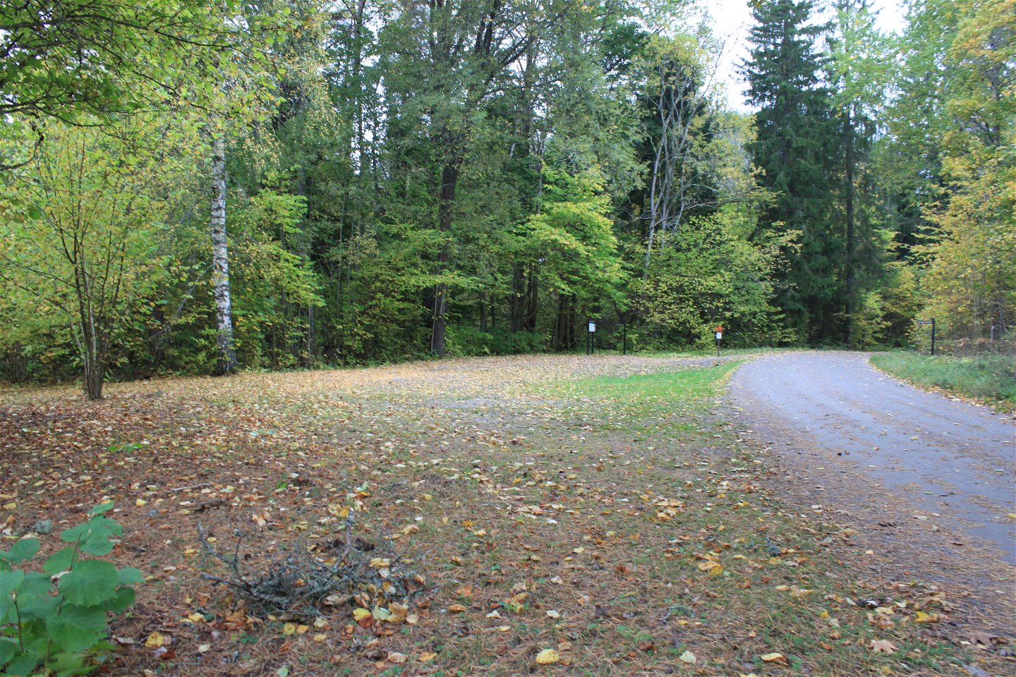 Vid en mindre bilväg finns en rymlig parkeringsplats med en informationstavla. Framför parkeringen är det skog.