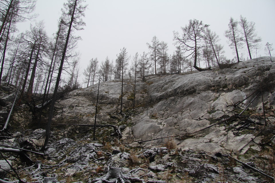 Nakna bergsklippor utan mossa eller jord.
