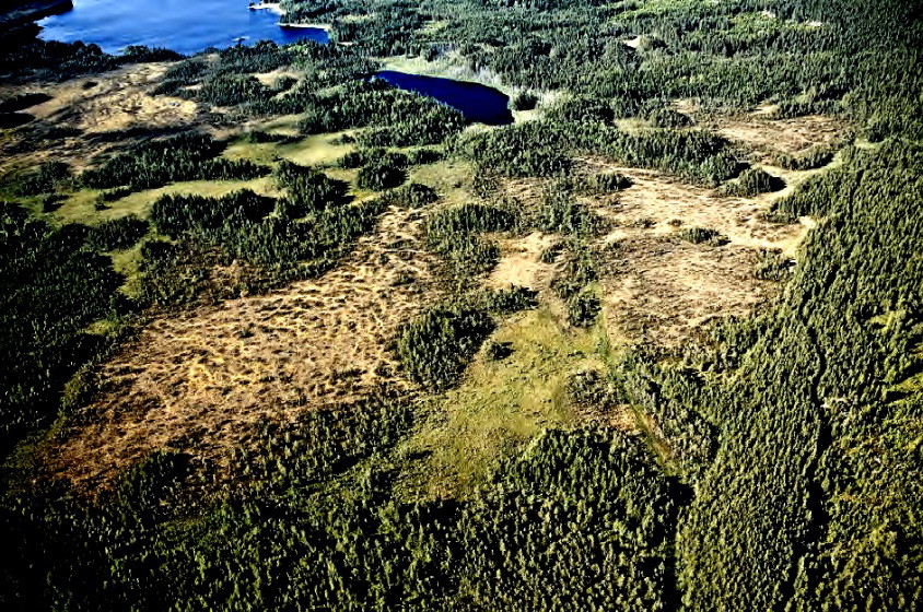 Bredsjömossen naturreservat