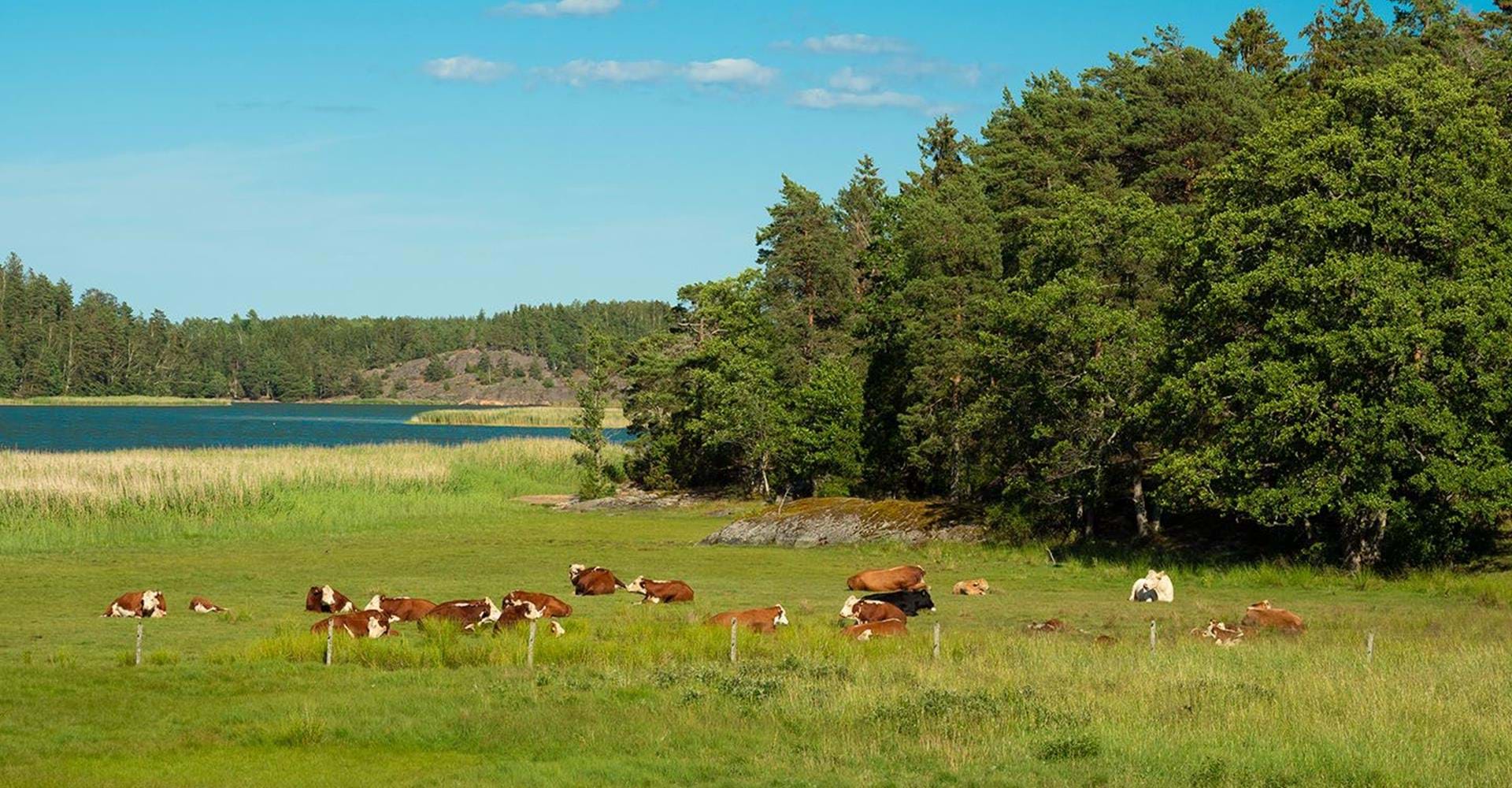 Kattedal rundslinga, Östgötaleden