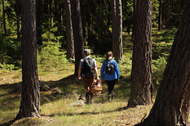 Södra Skäggenäs