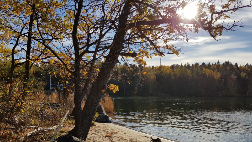 Strand vid Rödstugeviken. Foto Lidingö stad