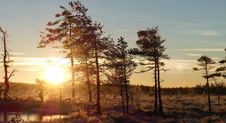 Baremosse är ett myrmarksområde med intressant flora och ett rikt fågelliv.
