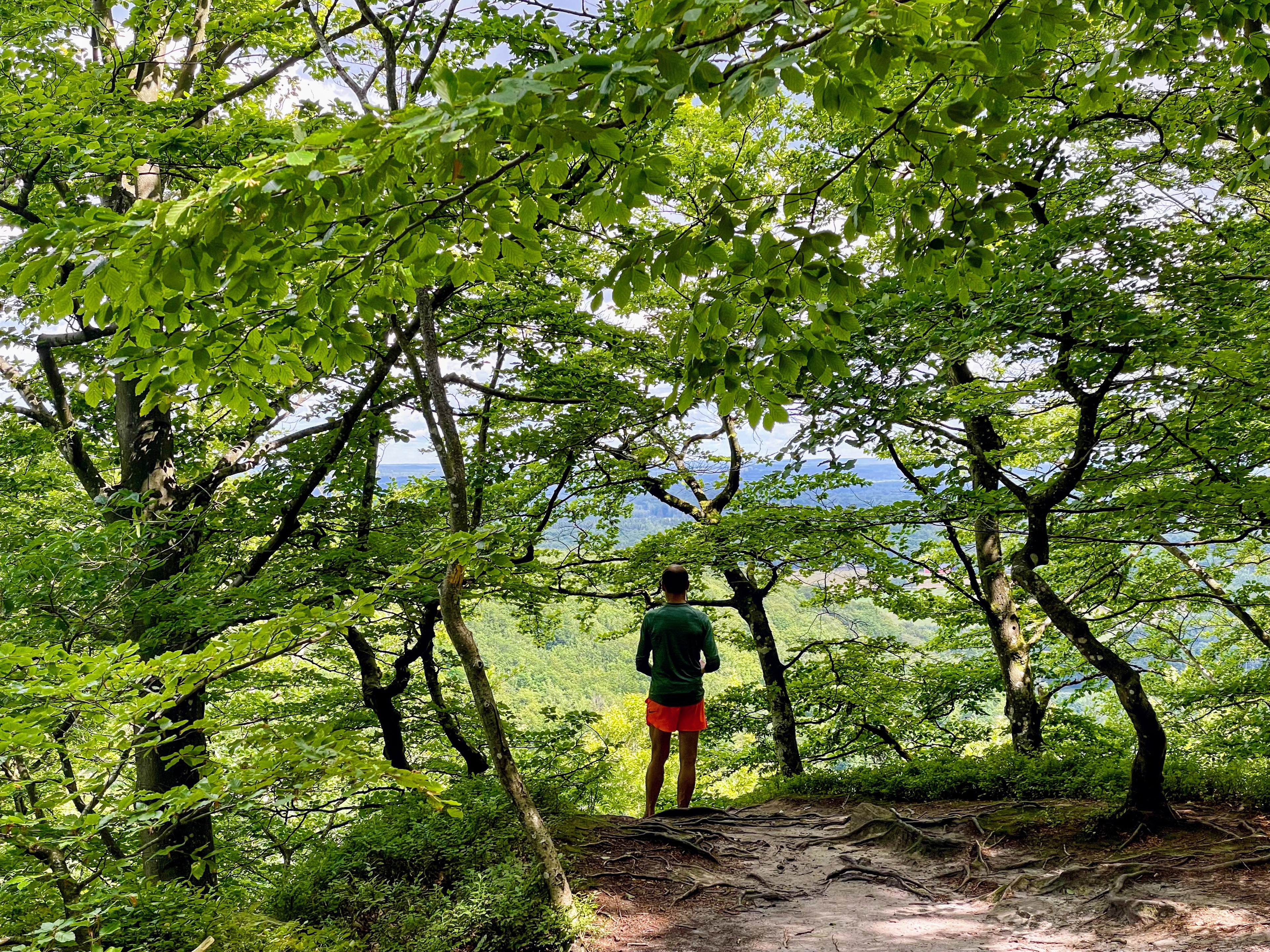 Söderåsens nationalpark …