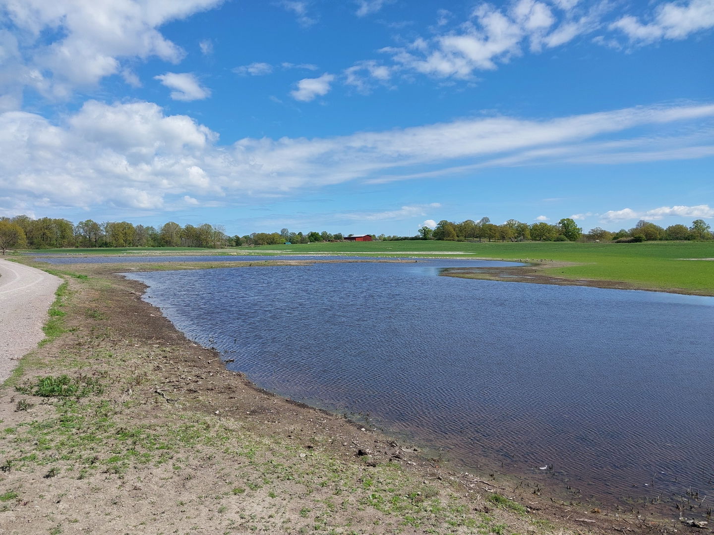 Våtmarken