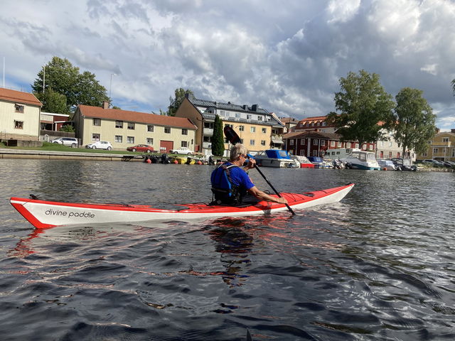 Vildmarken runt udden