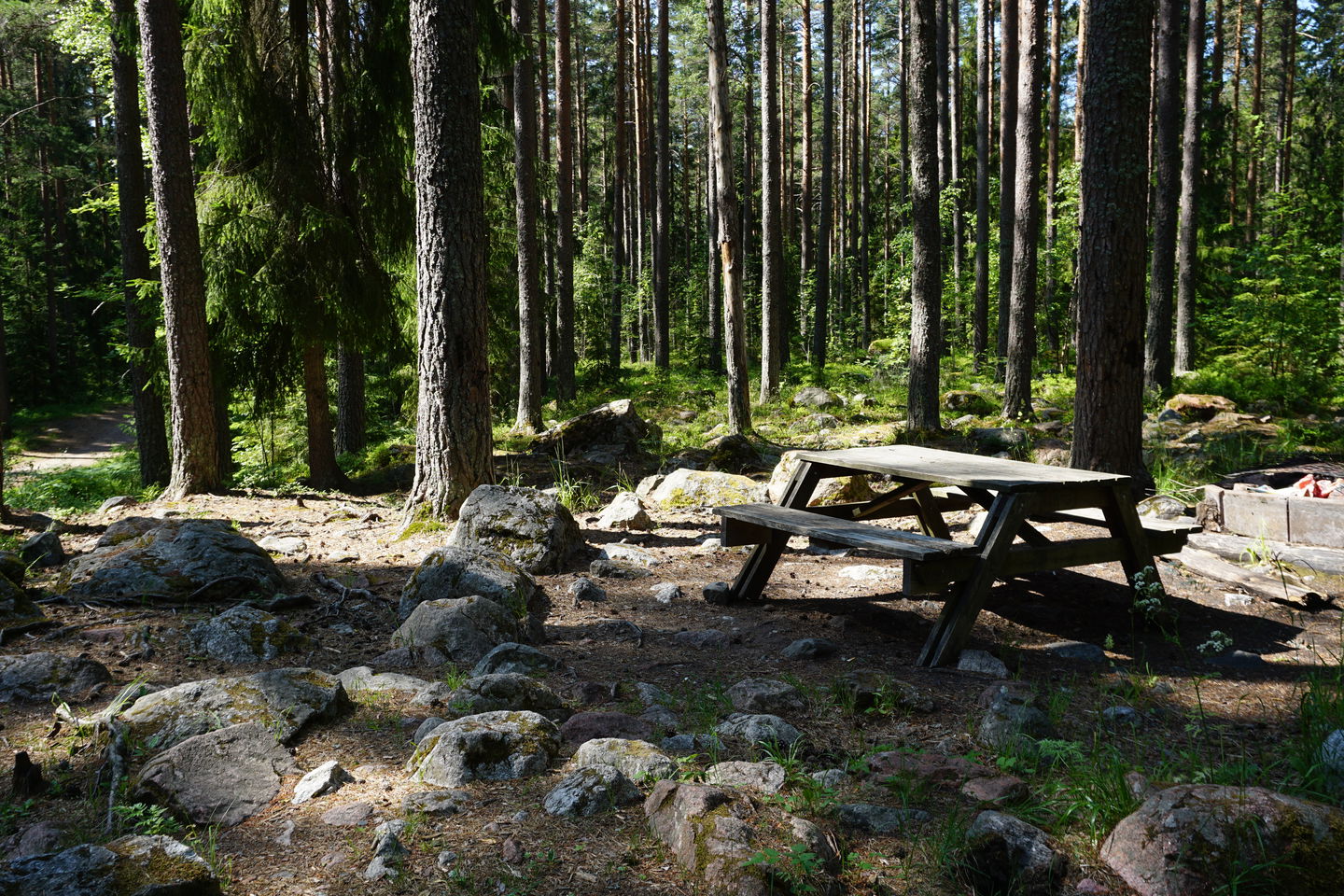 Rastplats med bänkbord på en liten höjd med stenigt underlag i skogen
