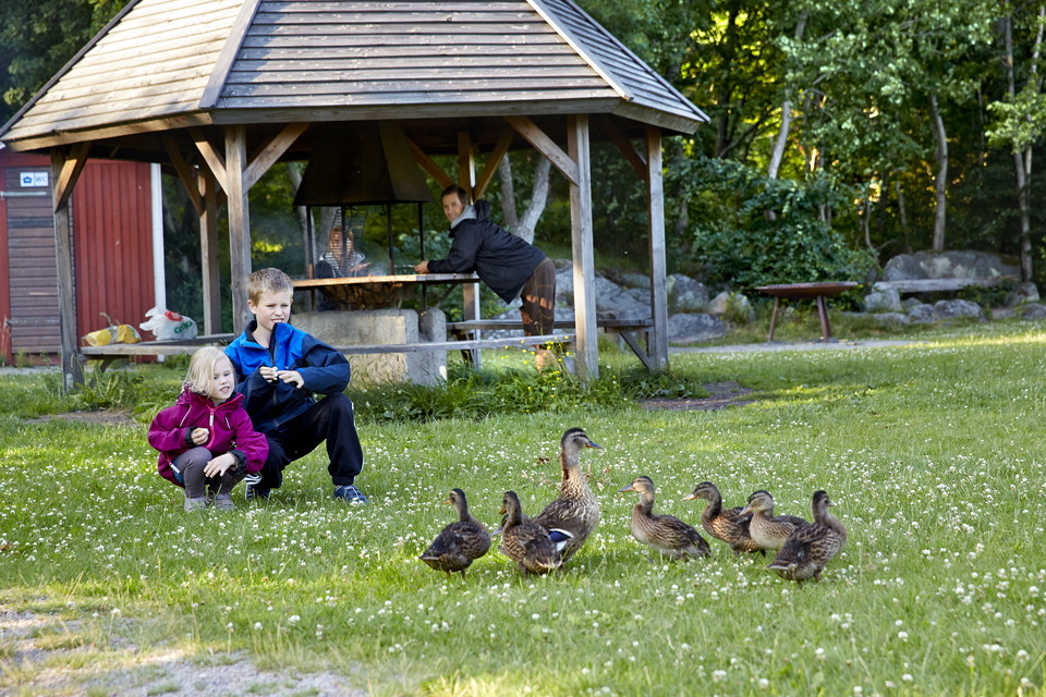 Fotograf: Hans Runesson