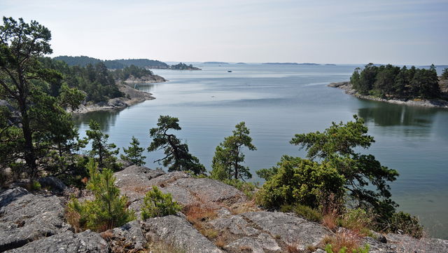 Naturhamn, Torpeviken