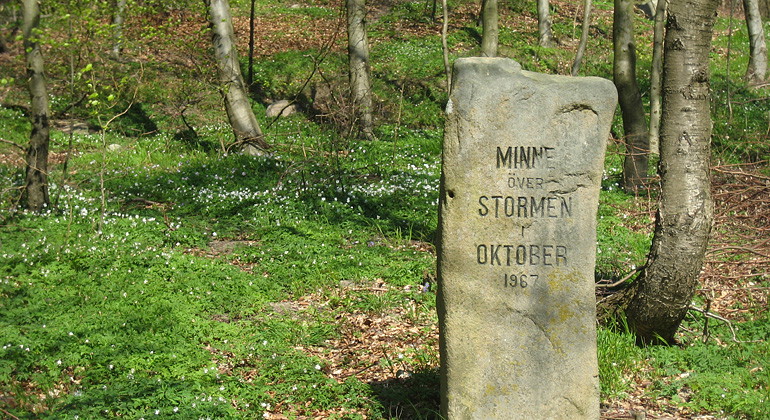 Minnessten.