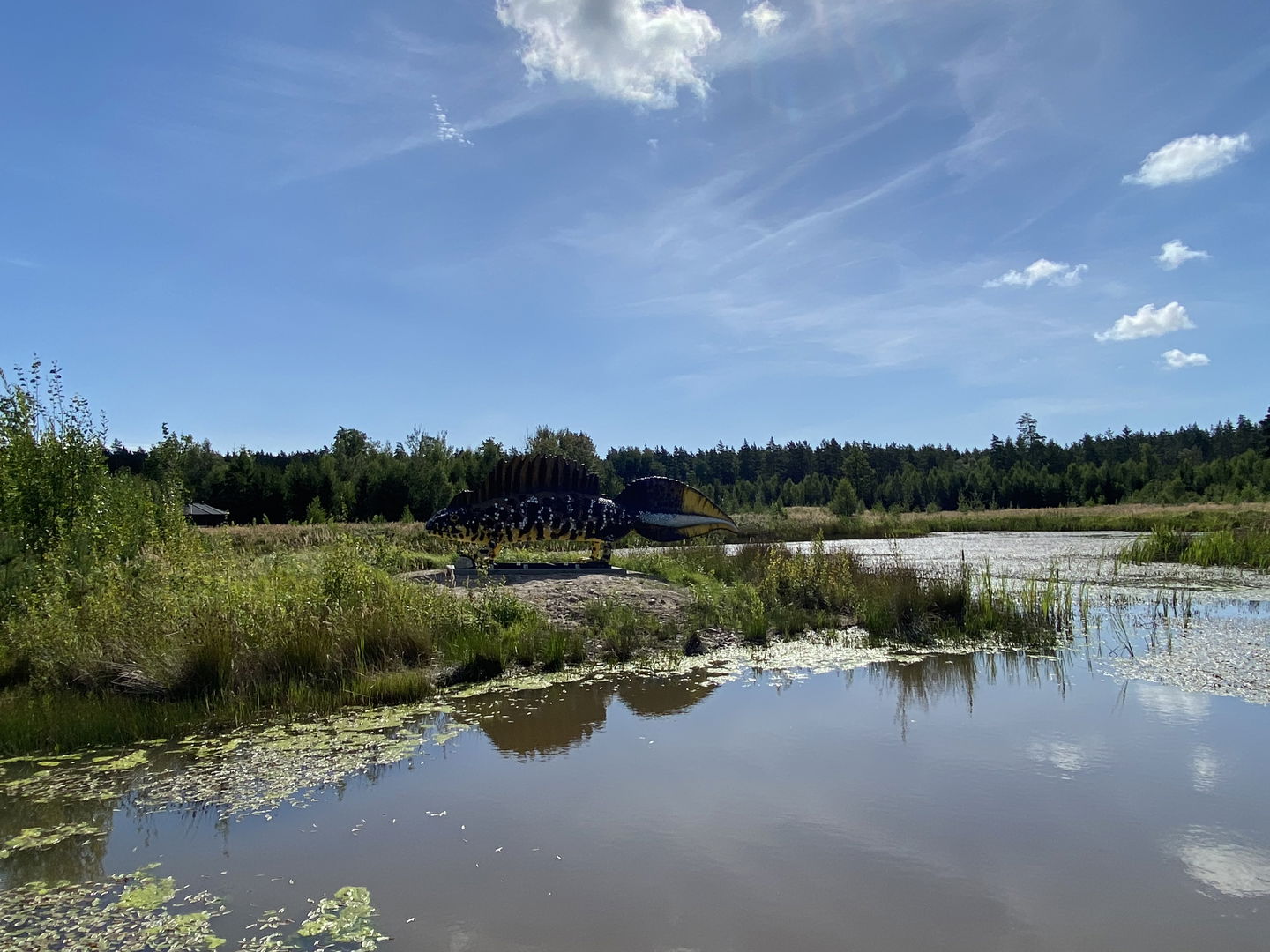 Våtmark