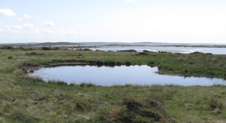 Stora vattenpölar i marken