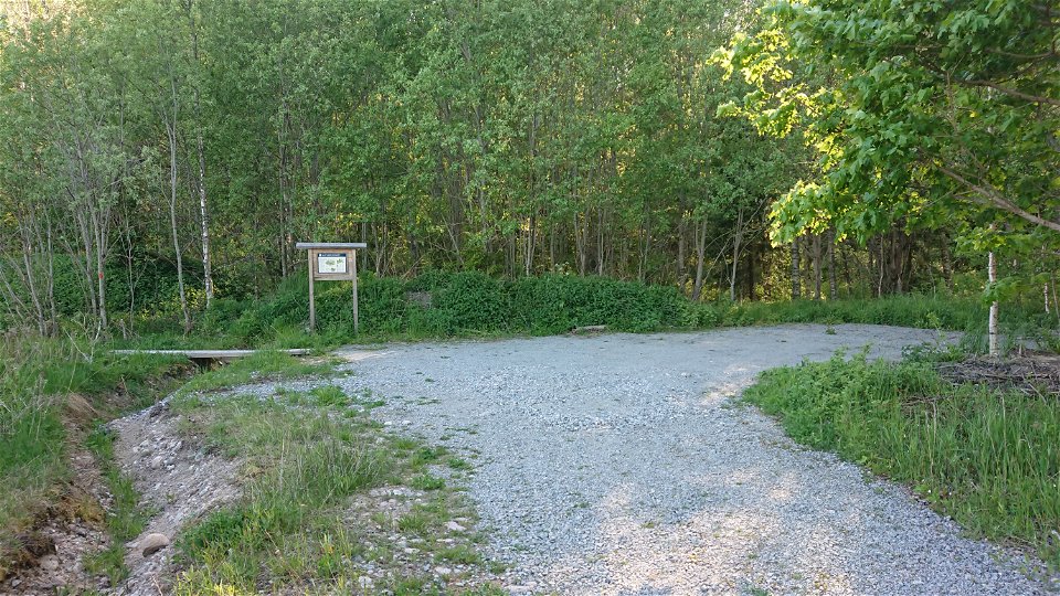 En grusväg i en skog, en parkeringsficka till höger.