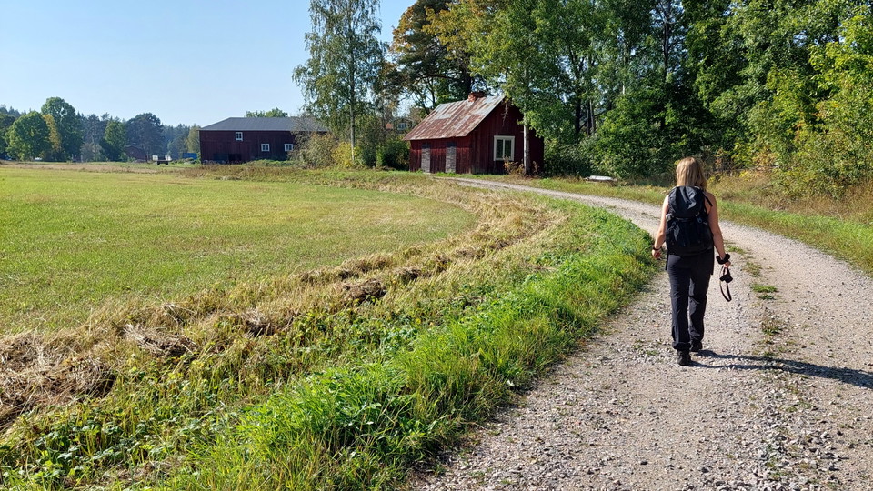 En person vandrar längs en grusad väg intill en äng