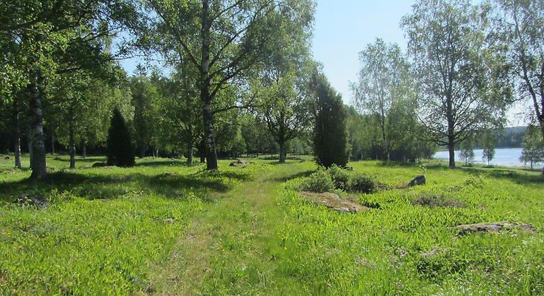 På ängen växer brudsporre, fältgentiana, ängshavre men också svinrot och jungfrulin en av de fåtal kända platser i länet.
