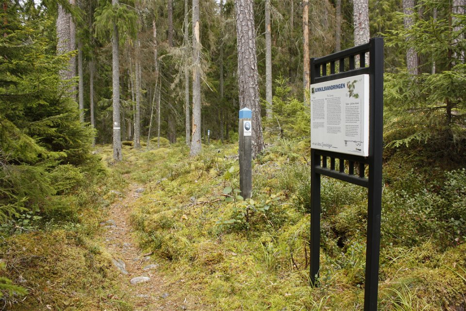 Vid en smal, ojämn skogsstig står en informationstavla. Bortanför står en stolpe med markering för Linnéstigen.