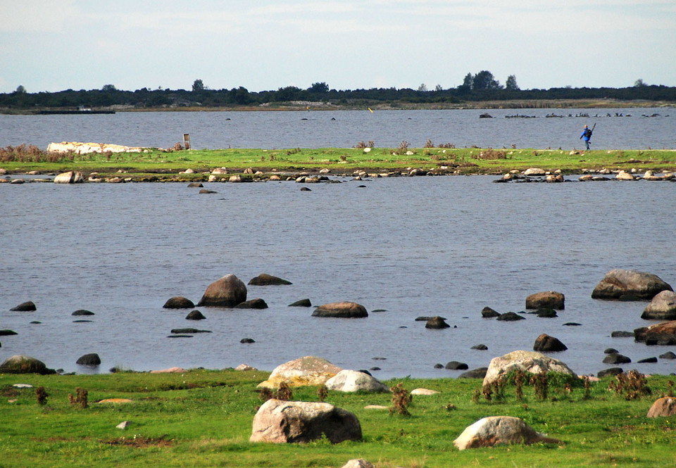 Strandängar