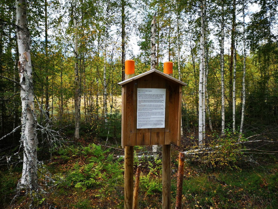 Kamtjärn med den gömda skatten..