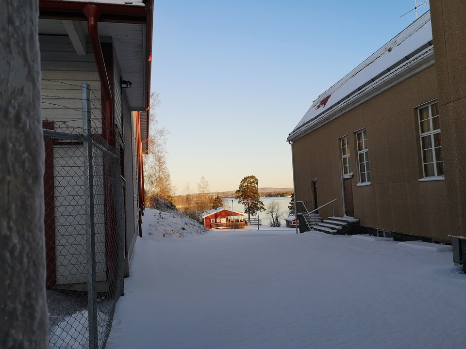 Vy över parken vintertid