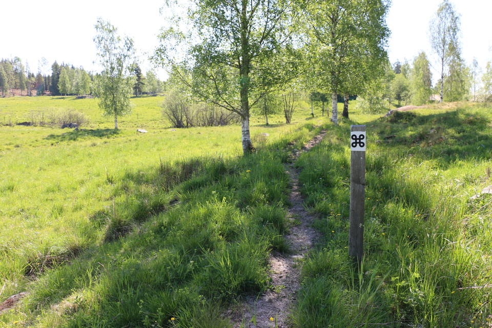 Vitmålad stolpe med vit ledmarkering med en svart kringa, som står i en betesmark