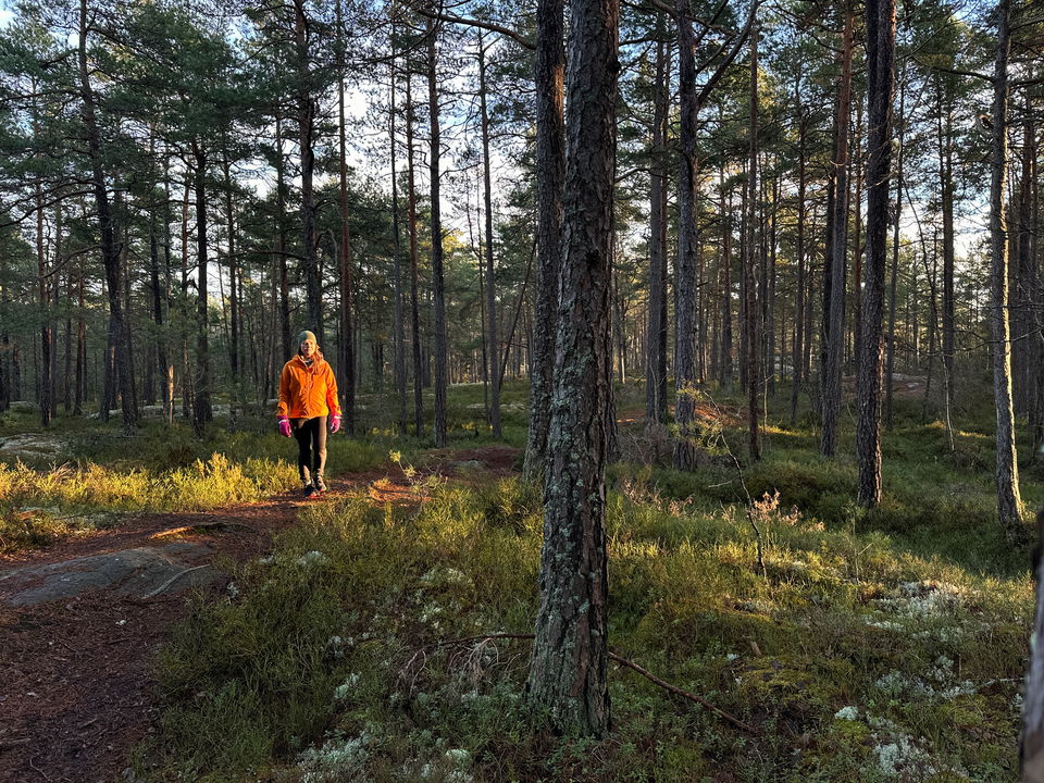 Vandring på Boo-leden i släpande novemberljuset. En av Stockholms längsta vandringsleder. …
