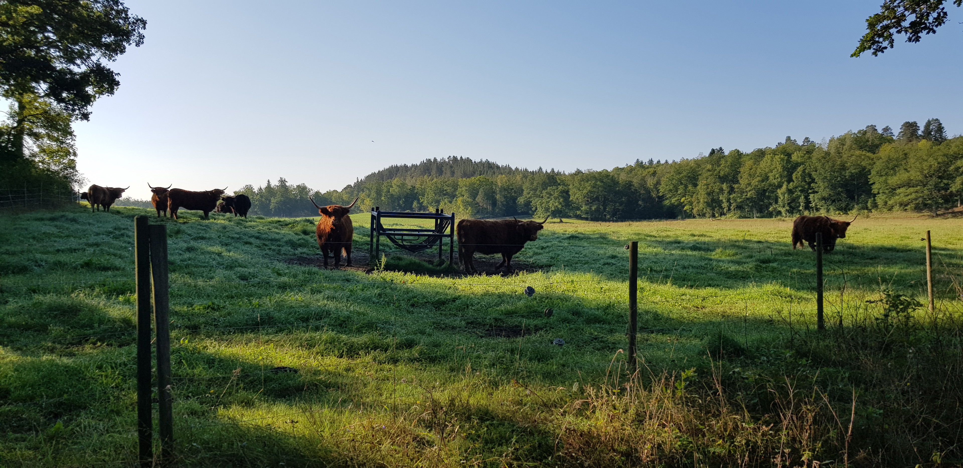 Törnsfall – Almvik – Hallingeberg, Tjustleden etapp 5