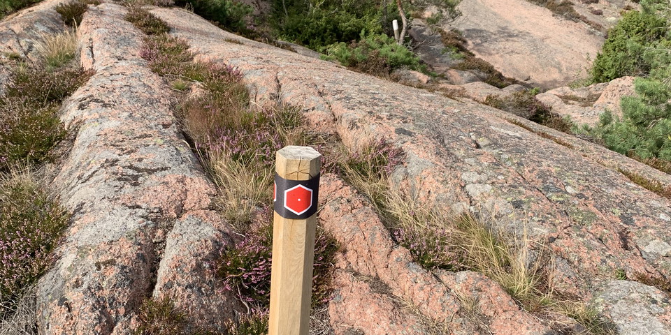 Ledmarkeringsstolpe