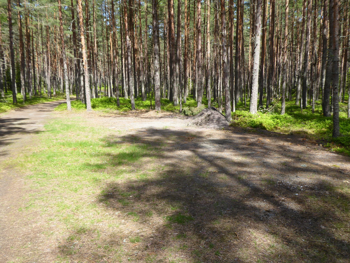 Satellitparkering Arnäs udde