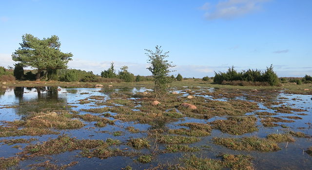 Kvinnsgröta, Naturvårdsområde