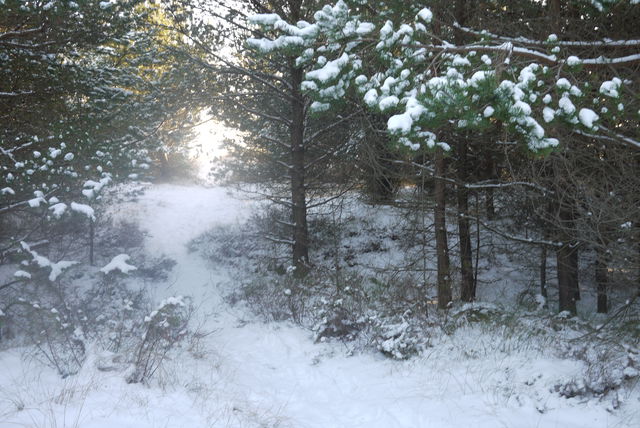 Hälsans stig - Arboga